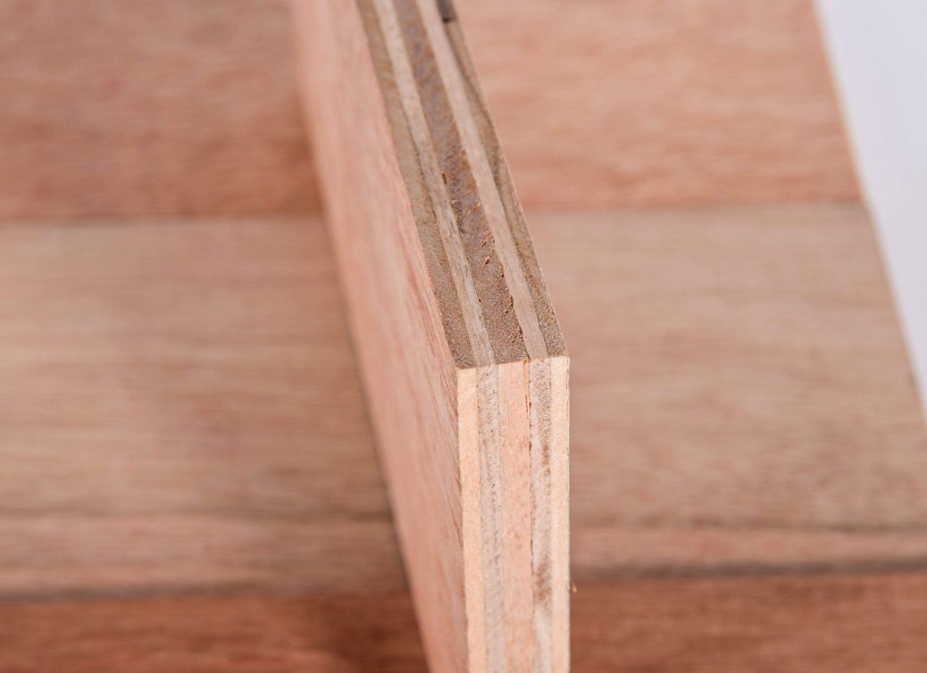 蚂蚁椅9层胶合板而且这种胶合板和常见的毒家具材料三合板,五合板不一