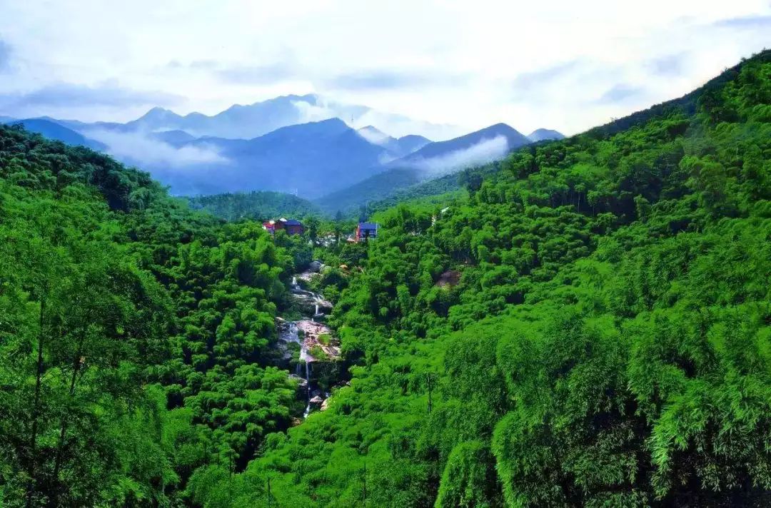 建强基层宣传文化队伍 全力助推乡村振兴战略 ——杭州市余杭区鸬鸟镇