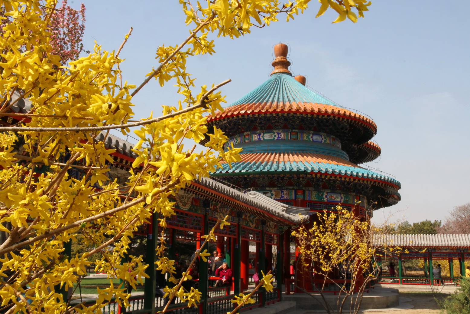 清明假期市属公园迎客190万，玉渊潭樱花节最“热”_手机新浪网