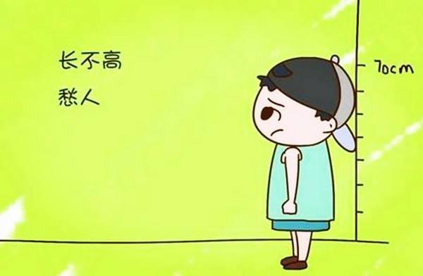 两岁半宝宝比同龄小朋友个子矮许多吃什么能帮助宝宝长高呢