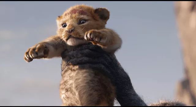 备受关注的真人版《狮子王》还未上映,就已经圈了一波粉,毕竟,小辛巴