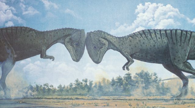 肿头龙类下垂倾头龙《普林斯顿恐龙大图鉴》作者:格雷戈里·s·保罗