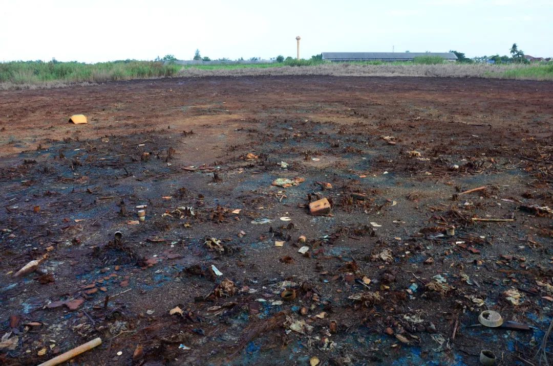 你怎么确保吃下的农家菜,门前土壤无污染?