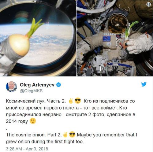 阿尔捷米耶夫上传了这颗“太空洋葱”的照片。（图片来源：社交网站“推特”截图）