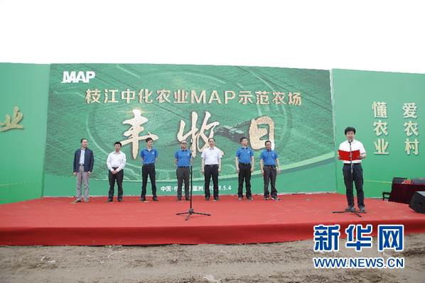 中化农业枝江MAP农场获丰收 走出现代农业发展新路径|现代农业_新浪财经_新浪网