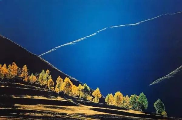 鲍昆雪月风花近百年