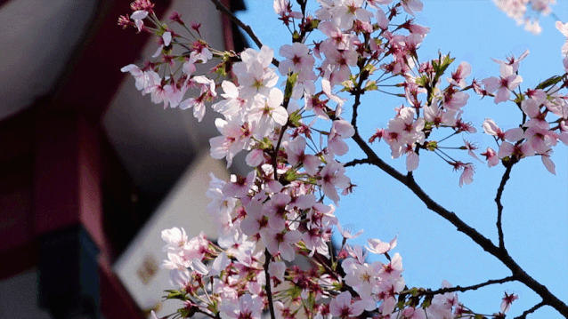 638_359gif 动态图 动图