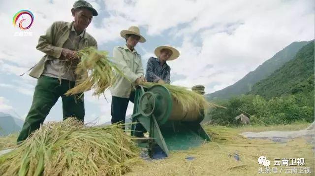 在农影中心《专题部》《聚焦三农》《电影部》工作,现任职