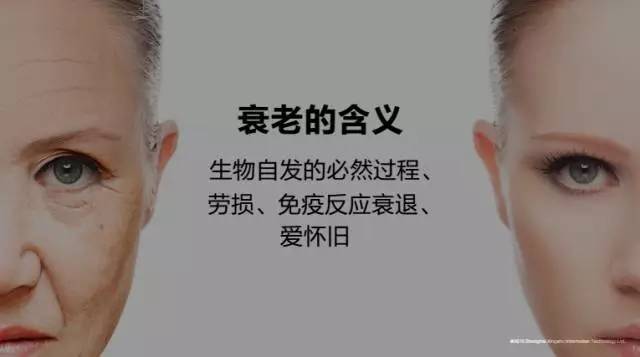 是什么让我们衰老