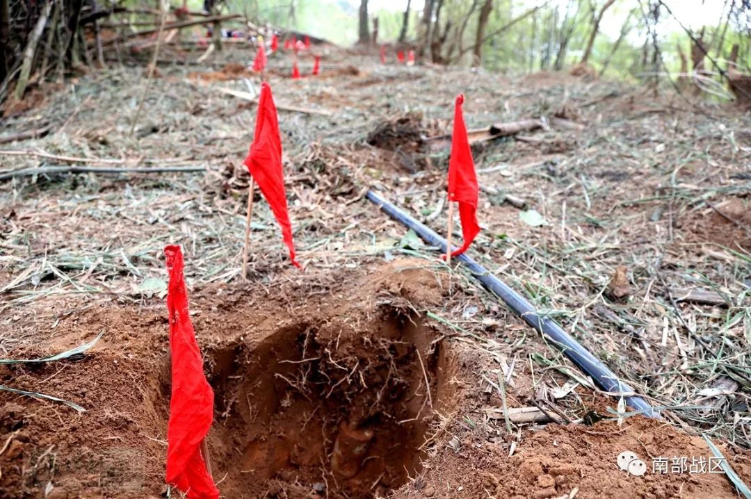 这组来自雷场图片总有一张能打动你