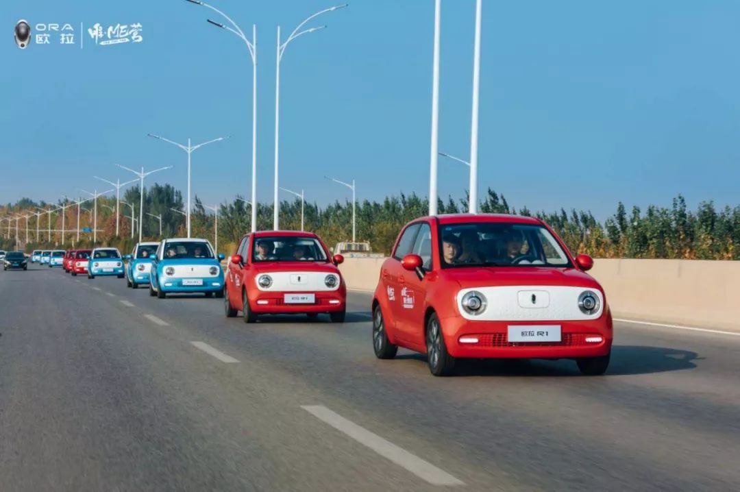 欧拉R1为何成为细分市场翘楚？探秘蜂巢能源找到答案