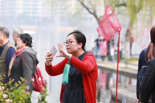 春光无限好 众多南京市民和外地游客排长队等候泛舟莫愁湖