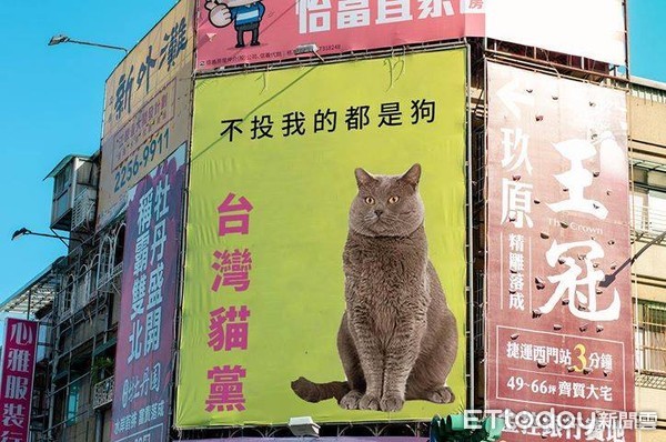 台湾政坛乱局 台独 份子赖清德支持率不如一只猫 赖清德 猫 支持率 新浪军事 新浪网 台湾政坛乱局 台独 份子赖清德支持率不如一只猫 赖清德 猫 支持率 新浪军事 新浪网
