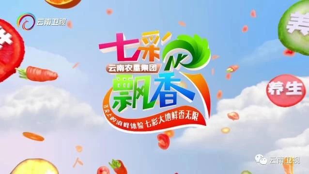 《七彩飘香》邂逅迪庆黑色盛宴