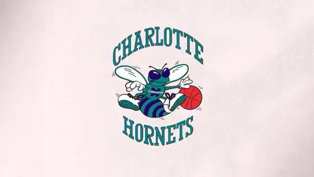 nba tv 晒出夏洛特黄蜂队史logo变化