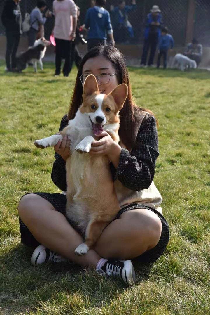 带狗狗玩耍最嗨的地方,跑马岭宠物谷了解一下