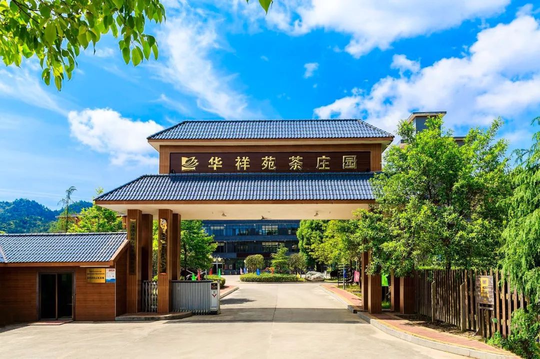 深度专访 | 华祥苑肖文德:盛世兴茶,茶香世界|华祥苑|茶文化|庄园