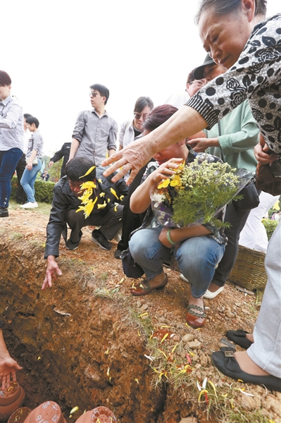 入土为安花相伴