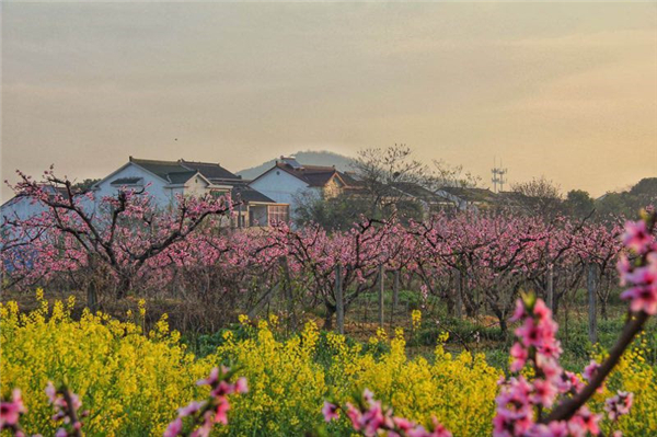 美丽阳山(图片由无锡市公益摄影团队拍摄)