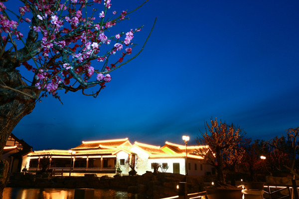 首届秦淮梅花湾新春灯会1月28日大丰亮灯迎客