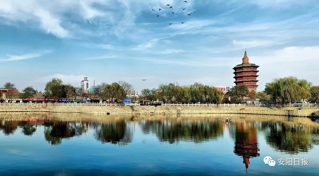 城市黑臭水体整治需要全民参与监督丨安阳市公布监督举报电话,邮箱