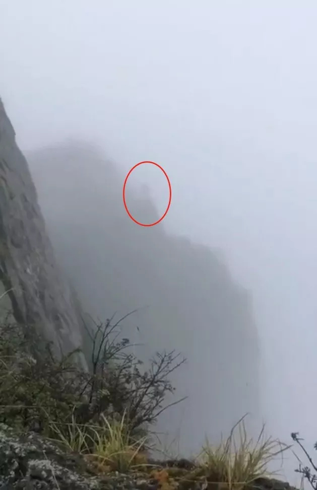 峨眉山金顶又现游客跳舍身崖,目前景区正在全力搜救