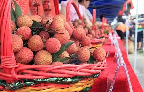 2018年灵山荔枝节来了!请收好这份荔枝节最全攻略!