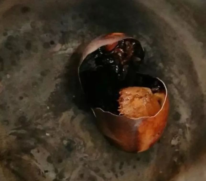 趣闻做饭是会呼吸的痛这些做菜失败案例是真心酸啊