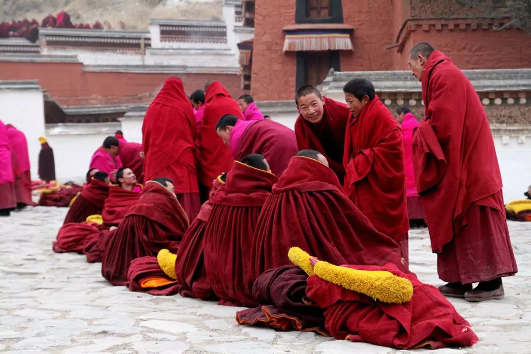 在甘南,策马扬鞭,从此人生不淡泊
