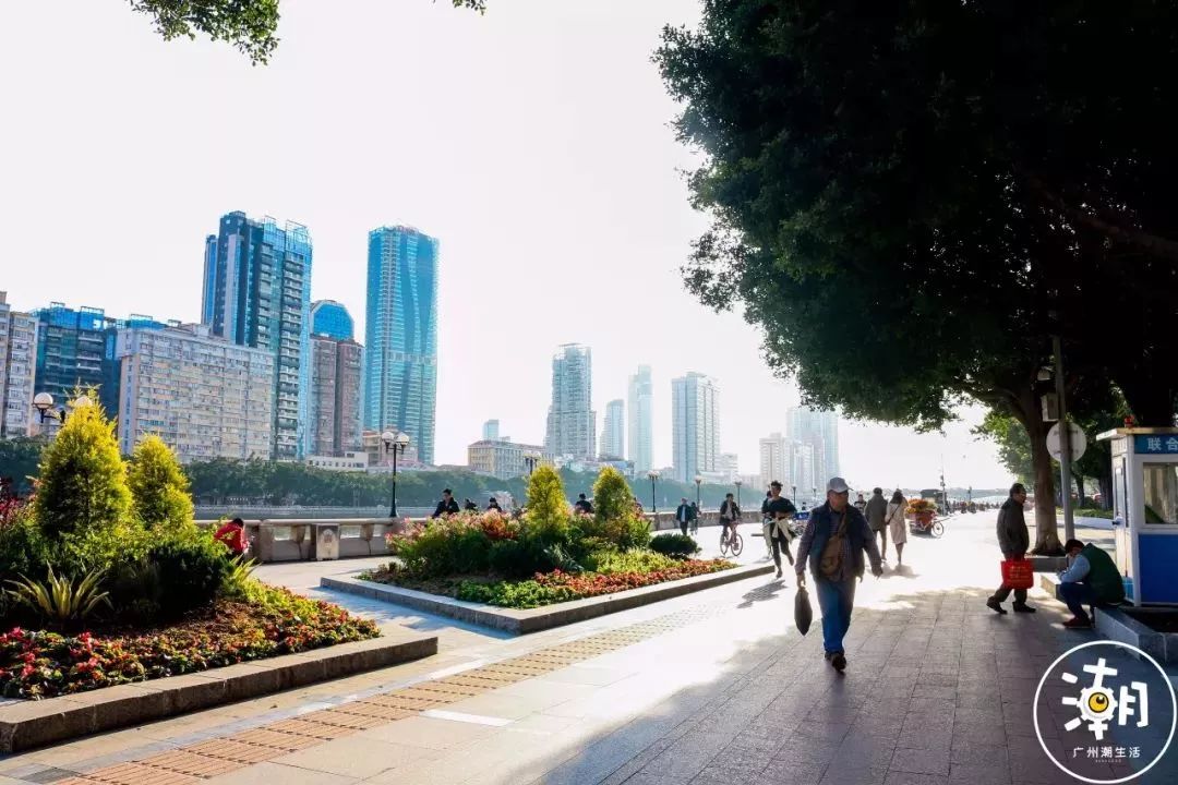 【超赞】广州私藏了这么多网红马路!鲜花美食骑楼别墅……快来打卡