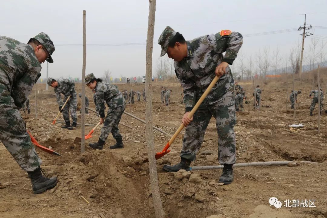 义务植树为第二故乡增添一抹绿色