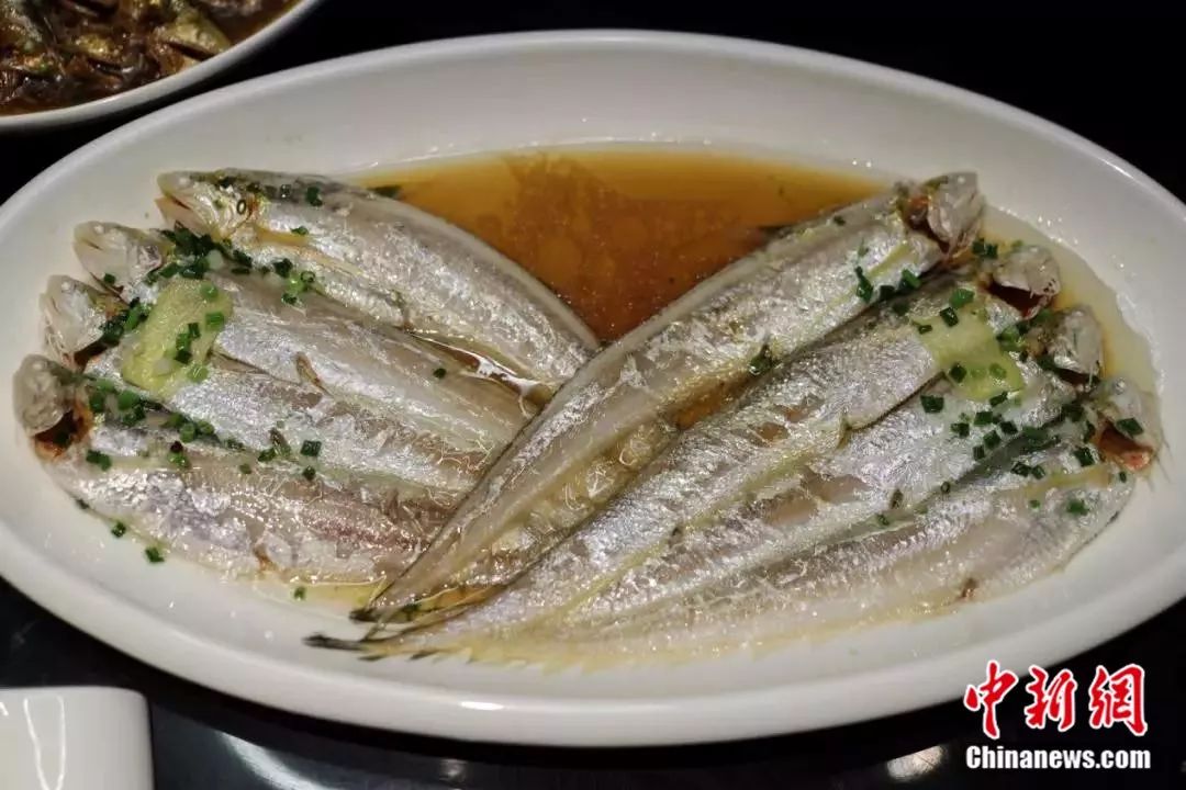 动辄千元长江第一鲜刀鱼贵在哪原因你想象不到