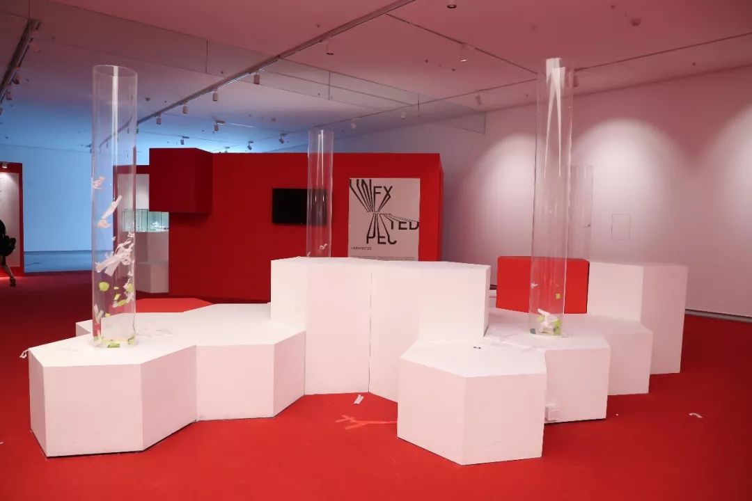 红红火火恍恍惚惚,来自意大利的视觉盛宴,让你