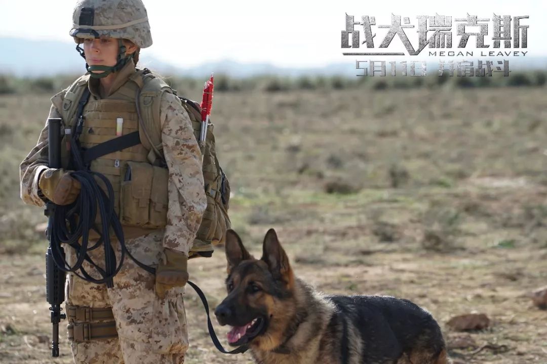 这里有一只汪星人最佳主演……丨电影《战犬瑞克斯》送票