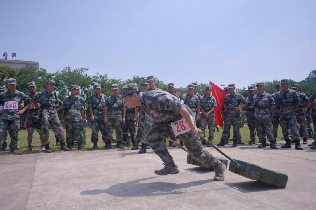 200多名官兵同台竞技这场勤务精兵群众性大比武场面壮观