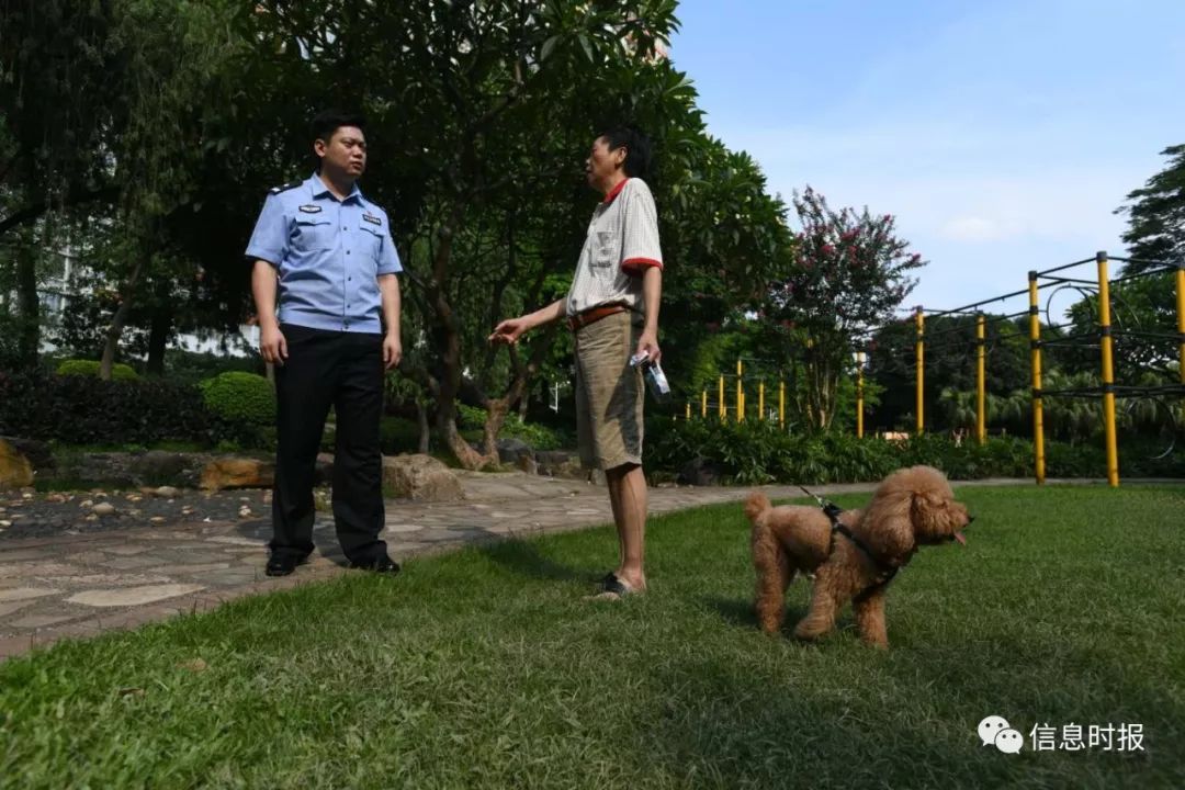 宠物狗被遗弃怎么办?不文明养犬现象如何应对
