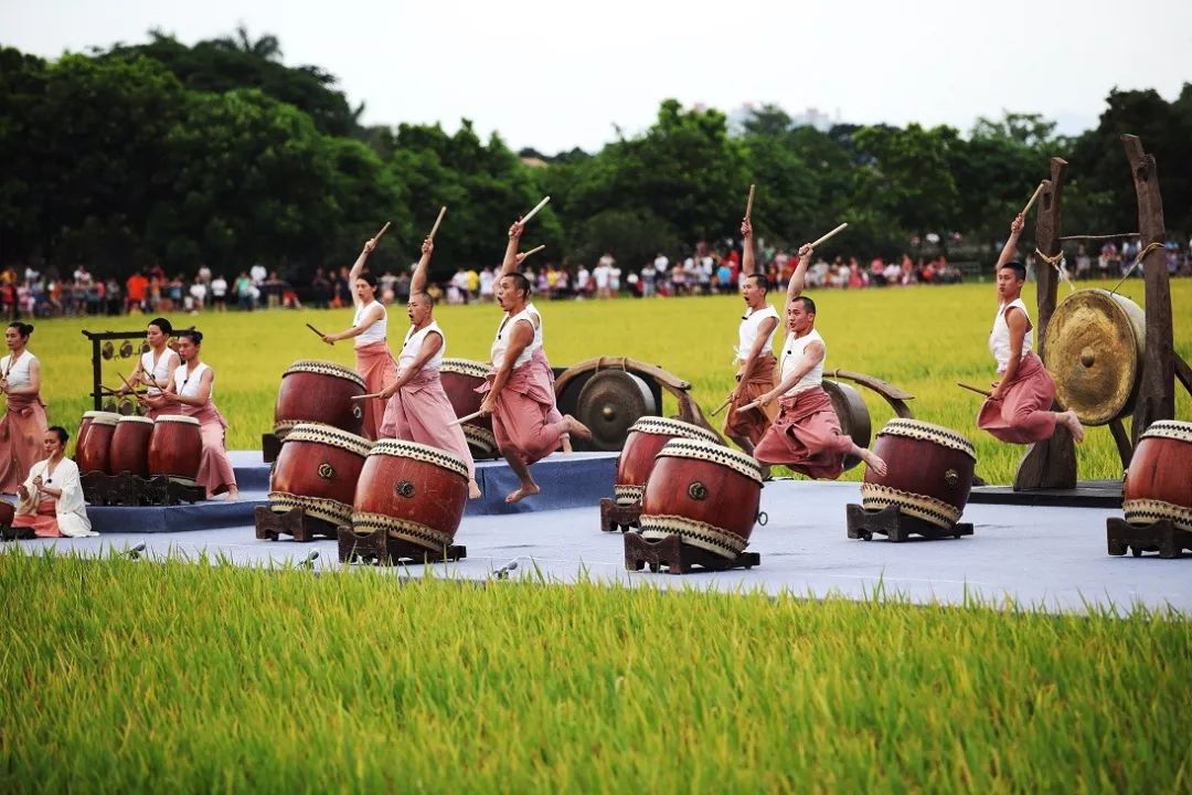 震撼!东莞稻田上演世界级艺术盛宴!敲响"美丽东莞"乐章!