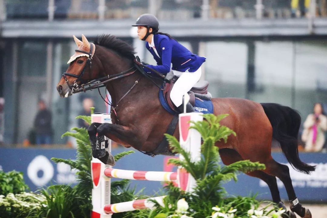 石天洋:2016全国马术场地障碍锦标赛青少年组冠军,2017年全国马术场地