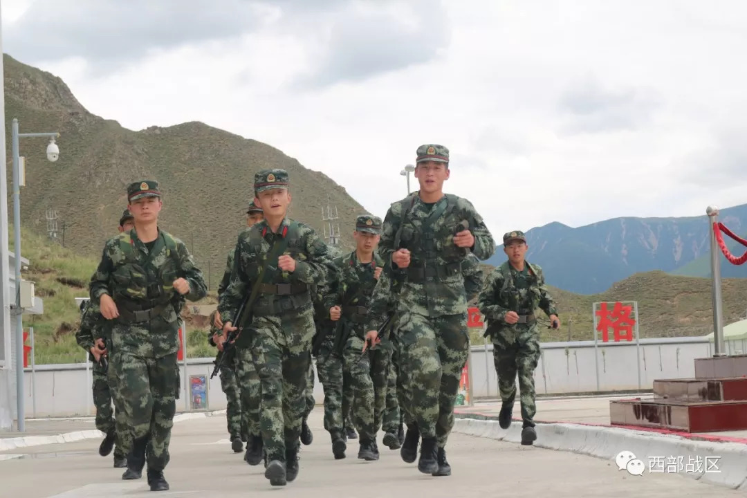 军营鲜艳橄榄绿永不凋谢老兵花