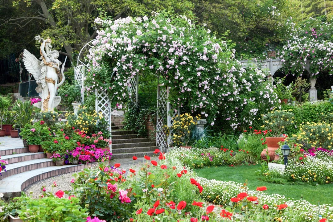 一个安徽爷爷,花1万块种出5000㎡私家花园,美如仙境