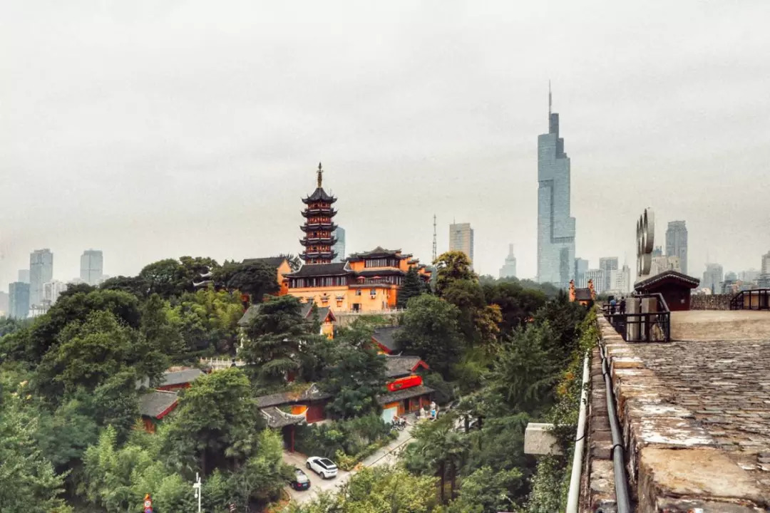 建康|南京|萝卜_新浪新闻