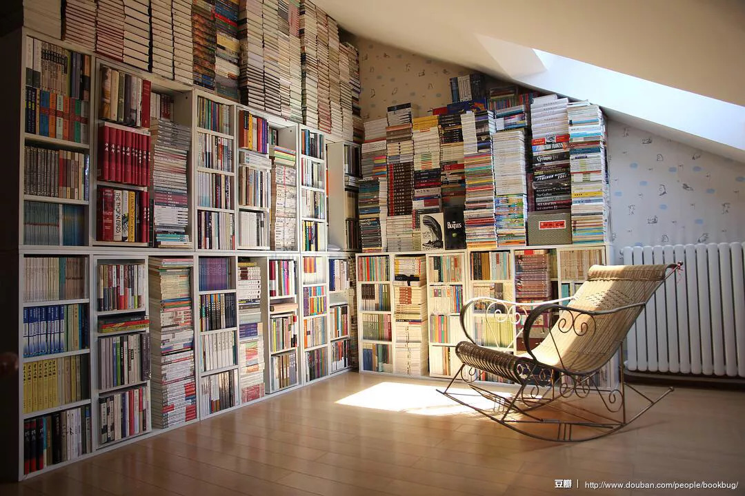 真羡慕你们,年纪轻轻有猫有狗还有矿|书架|书房|猫_新浪新闻