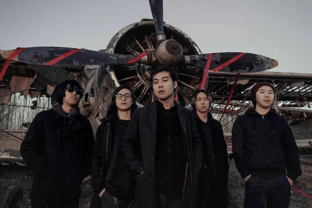 鸟撞轻松搞怪的好奇发问,到晕盖的认真"质问" 都让我们从一个