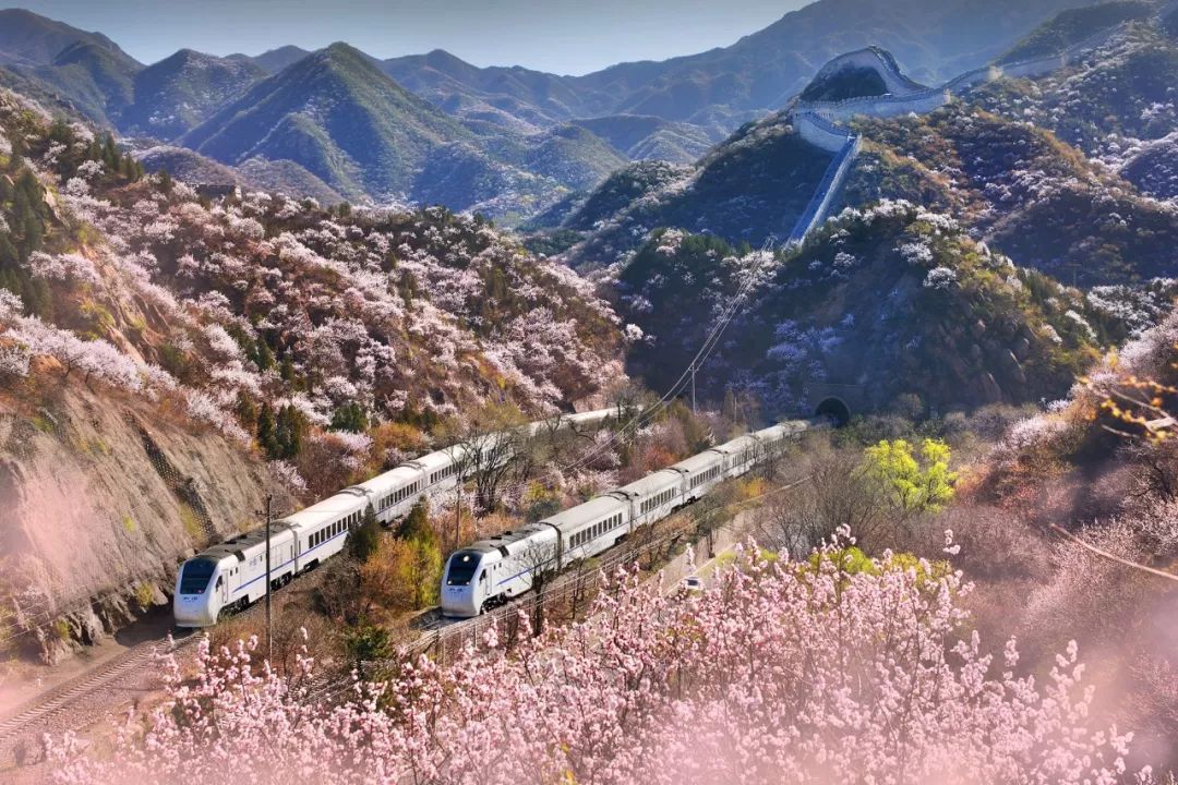 追火车的人90后拍摄40万张照片记录京张铁路百年变迁