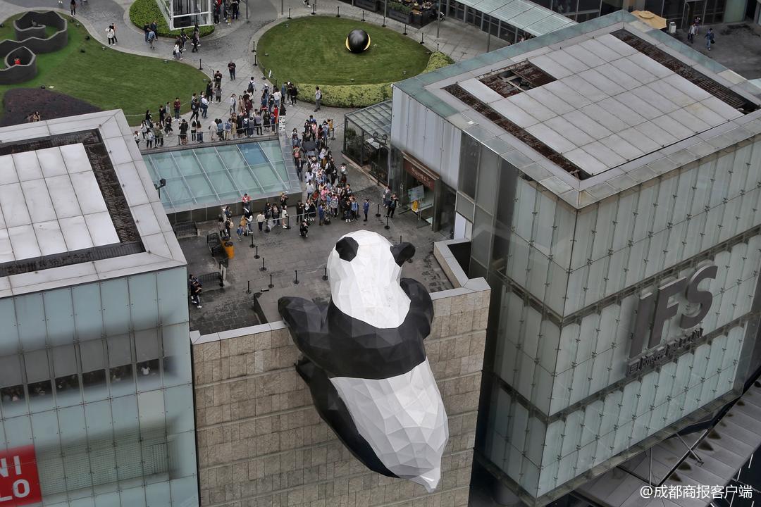 国庆打卡成都爬墙大熊猫来一起凹造型