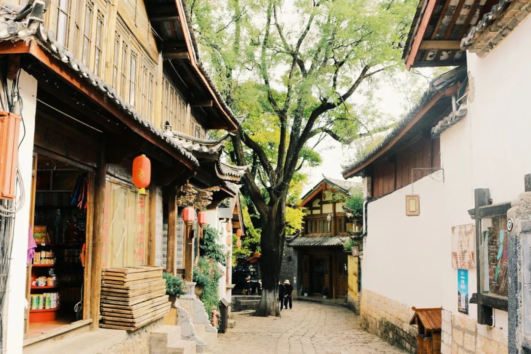 到丽江,你真的要到古城的这15条巷子走一走|民居|古城|巷子_新浪新闻