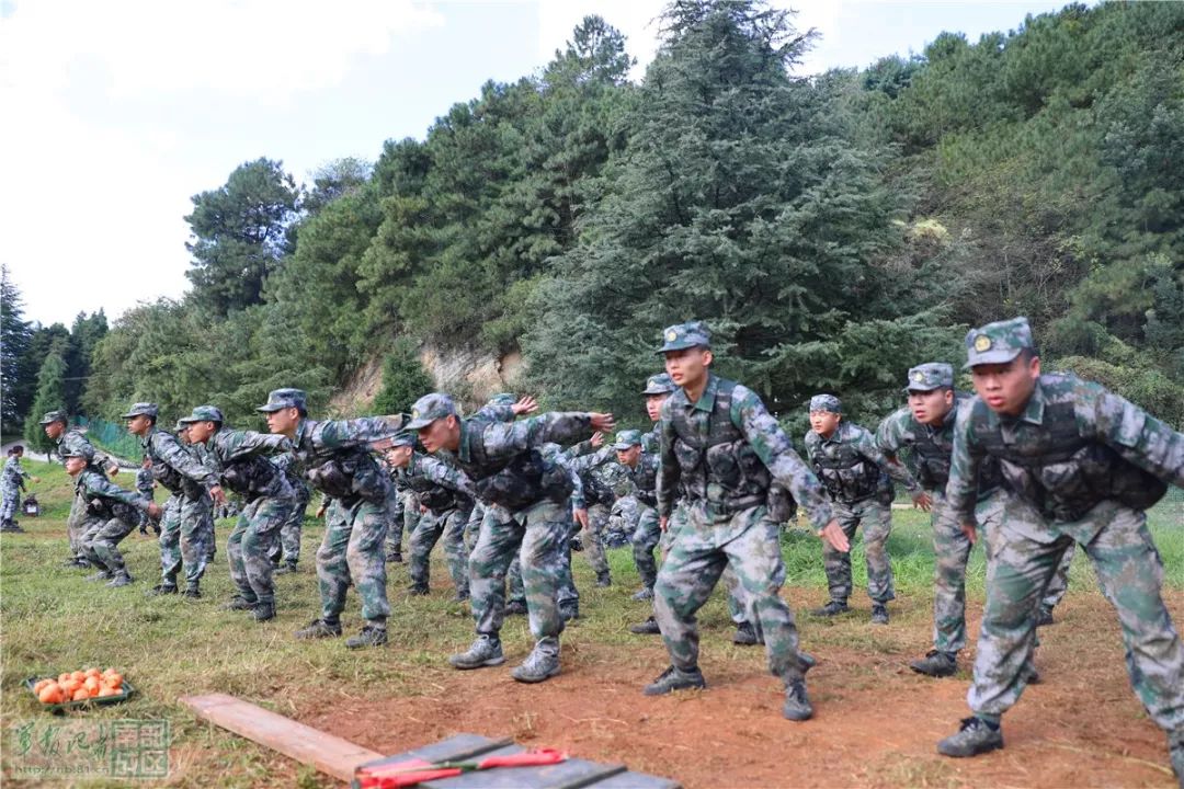 这时连长走到新兵面前说:"这周手榴弹投掷强化训练,训练效果很好,出乎