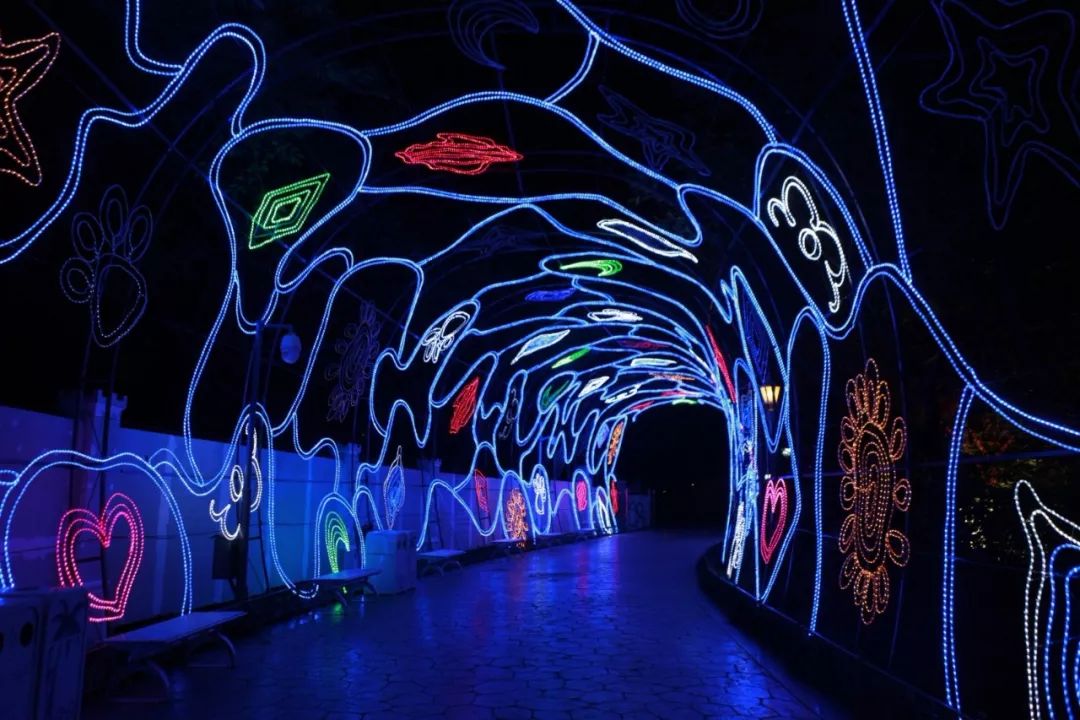 全城关注tod国际花海灯光艺术节11月10日正式登陆无锡