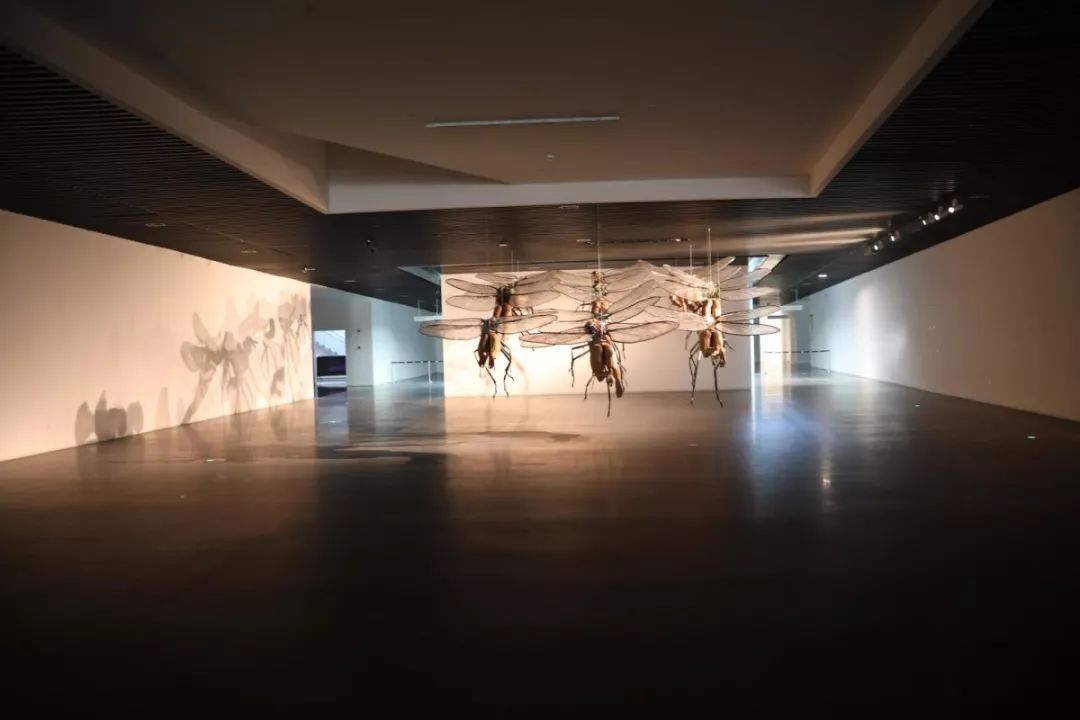 太吃xn67宝龙美术馆双展