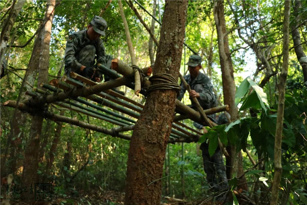 必备野外生存技能赶紧收藏军营老司机第29期